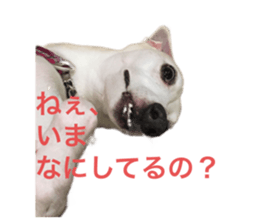532865712