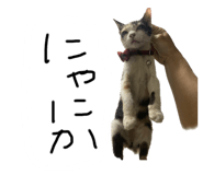 532888939