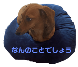 532889497