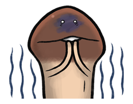 Nameko’s Harvest Festival รูปที่ 11
