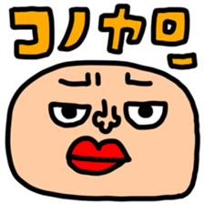 532912570