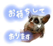 532922462