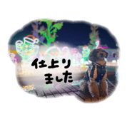 532922487