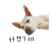 532927382