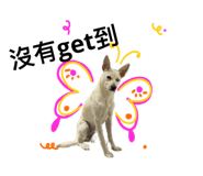 532927384