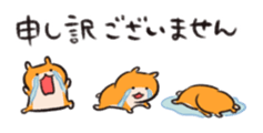 532946295