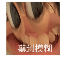 532954278
