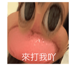 532954279