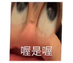 532954281