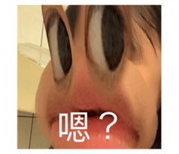 532954282