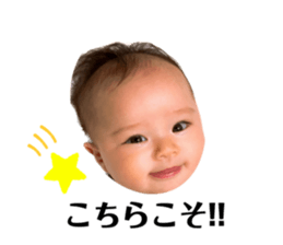 532954561