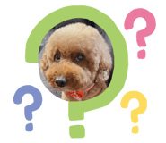 532994103