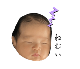533013864