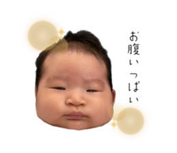 533013871