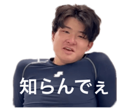 533015561