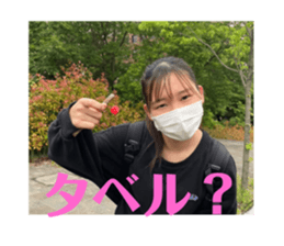 533017119