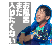 533017444
