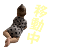 533017474