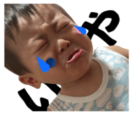 533019552