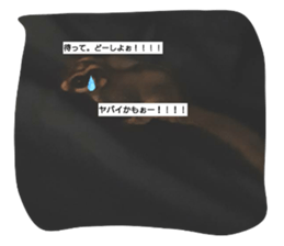 533104313
