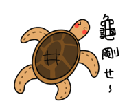 533109961