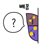 533120992