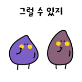533121010