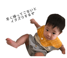 533129560