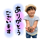 533134252