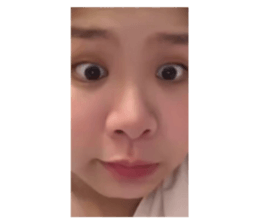 533151750