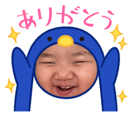 533152621