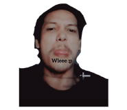 533153008