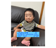 533166916