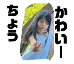 533203296
