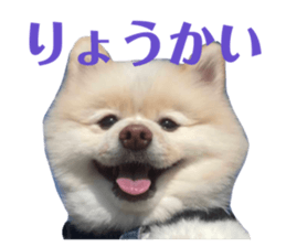 533215943