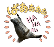 533224264