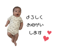 533224946