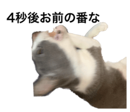 533289816