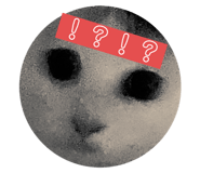 533316046