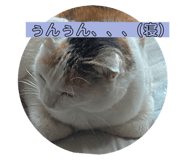 533316050