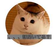 533316051