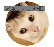 533316056