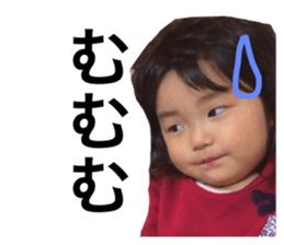 53332378