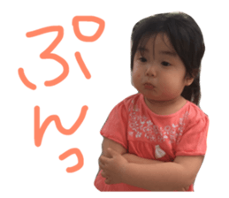 53332379