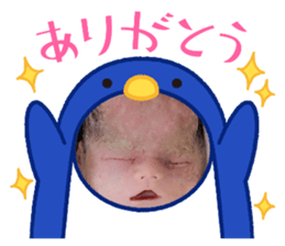 533334090