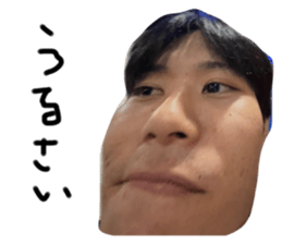 533366739