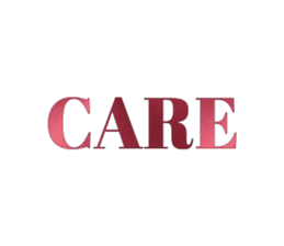 533385077