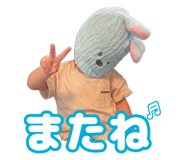 533391697