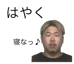 533392379