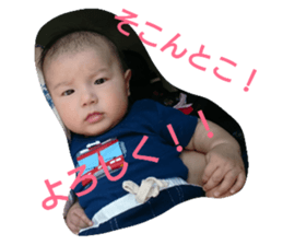 53339893